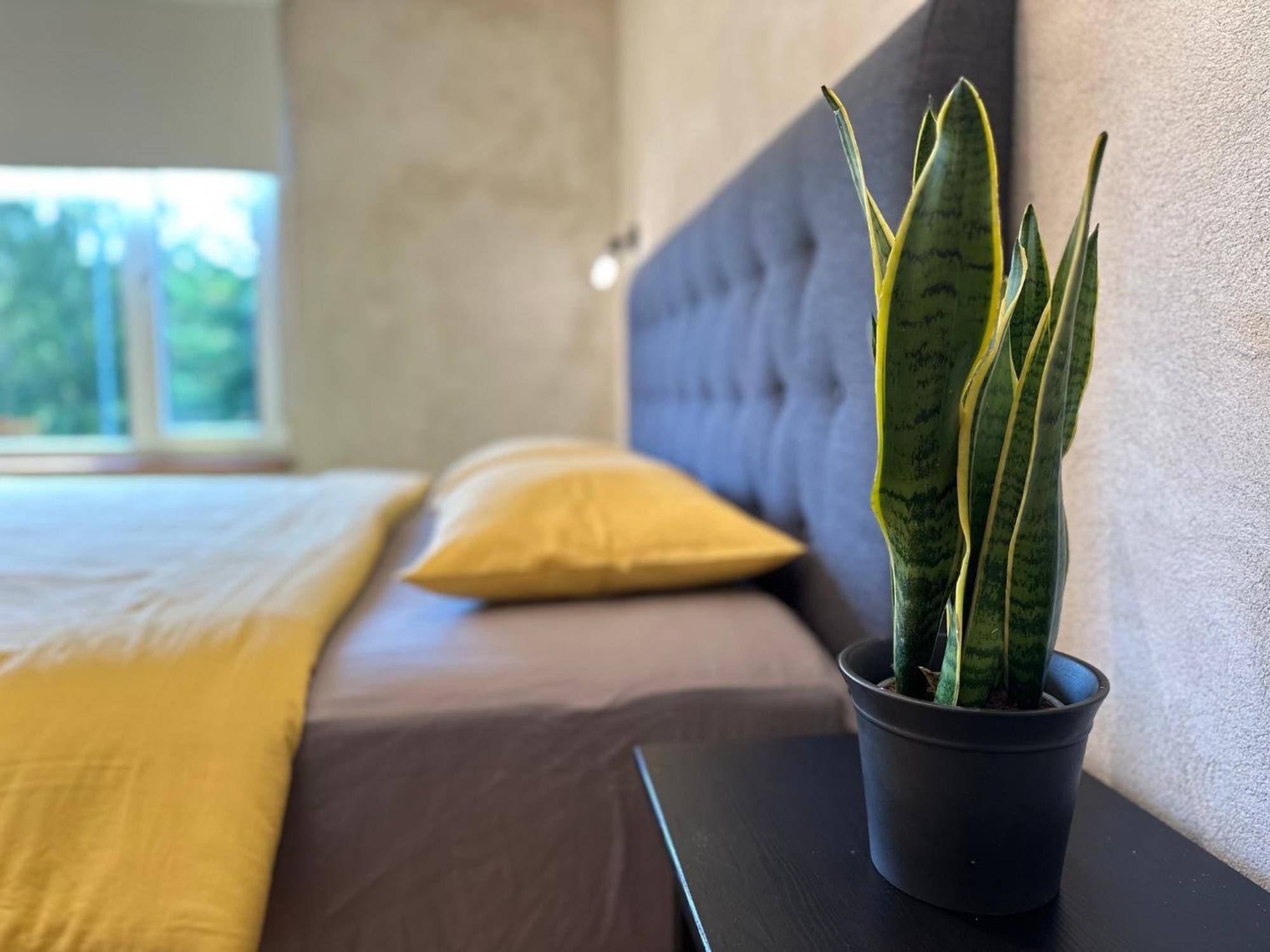 Magical Two Bedroom In Viljandi
